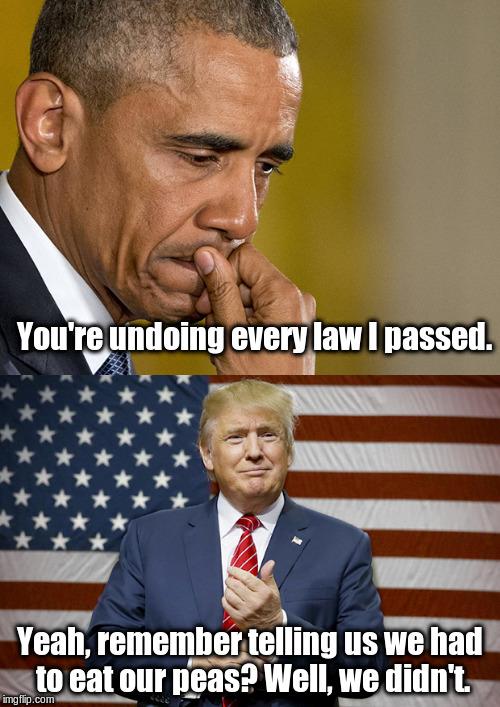 Obama Trump |  You're undoing every law I passed. Yeah, remember telling us we had to eat our peas? Well, we didn't. | image tagged in obama trump | made w/ Imgflip meme maker