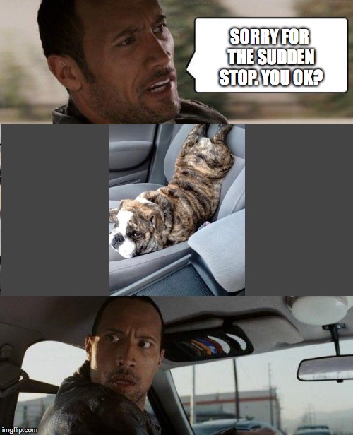 Abrupt Braking Is Hazardous :-) | SORRY FOR THE SUDDEN STOP. YOU OK? | image tagged in memes,the rock driving | made w/ Imgflip meme maker
