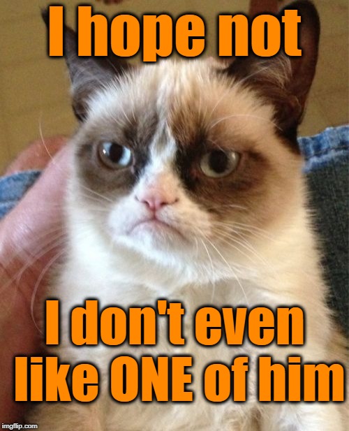 Grumpy Cat Meme | I hope not I don't even like ONE of him | image tagged in memes,grumpy cat | made w/ Imgflip meme maker