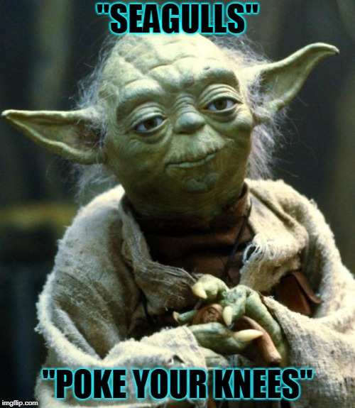Star Wars Yoda | "SEAGULLS"; "POKE YOUR KNEES" | image tagged in memes,star wars yoda | made w/ Imgflip meme maker