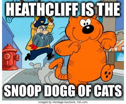 HEATHCLIFF IS THE; SNOOP DOGG OF CATS | image tagged in snoopcliff | made w/ Imgflip meme maker