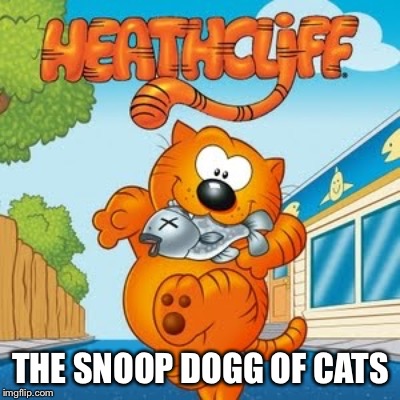 THE SNOOP DOGG OF CATS | image tagged in snoopcliff2 | made w/ Imgflip meme maker