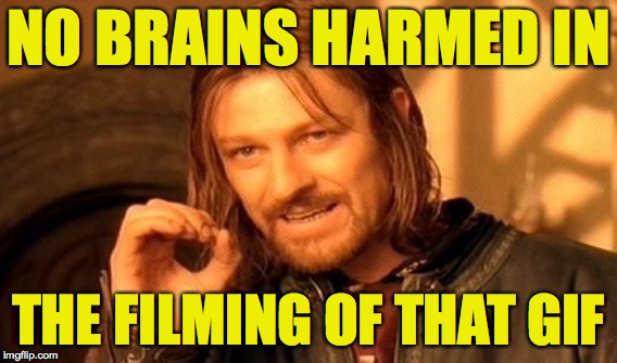 One Does Not Simply Meme | NO BRAINS HARMED IN THE FILMING OF THAT GIF | image tagged in memes,one does not simply | made w/ Imgflip meme maker