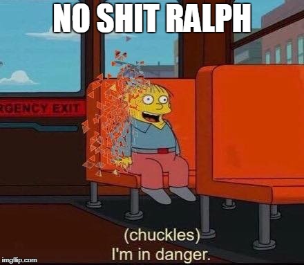 Infinity War Dusted Death | NO SHIT RALPH | image tagged in infinity war dusted death | made w/ Imgflip meme maker