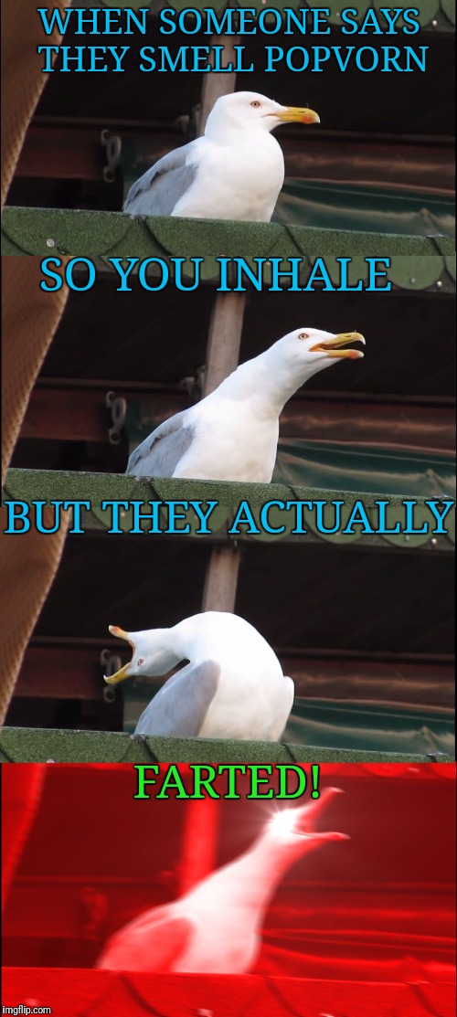 Inhaling Seagull Meme | WHEN SOMEONE SAYS THEY SMELL POPVORN; SO YOU INHALE; BUT THEY ACTUALLY; FARTED! | image tagged in memes,inhaling seagull | made w/ Imgflip meme maker