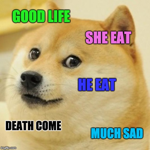 Doge Meme | GOOD LIFE; SHE EAT; HE EAT; DEATH COME; MUCH SAD | image tagged in memes,doge | made w/ Imgflip meme maker