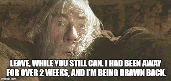 Gandalf Fly You Fools | LEAVE, WHILE YOU STILL CAN. I HAD BEEN AWAY FOR OVER 2 WEEKS, AND I'M BEING DRAWN BACK. | image tagged in gandalf fly you fools | made w/ Imgflip meme maker
