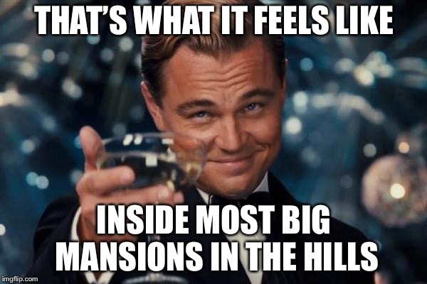 Leonardo Dicaprio Cheers Meme | THAT’S WHAT IT FEELS LIKE INSIDE MOST BIG MANSIONS IN THE HILLS | image tagged in memes,leonardo dicaprio cheers | made w/ Imgflip meme maker