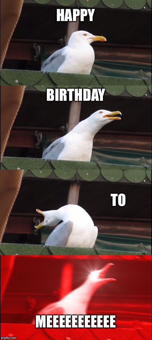 Inhaling Seagull | HAPPY; BIRTHDAY; TO; MEEEEEEEEEEE | image tagged in memes,inhaling seagull | made w/ Imgflip meme maker