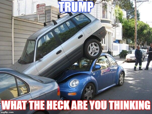 Parking Trump | TRUMP; WHAT THE HECK ARE YOU THINKING | image tagged in car parking,donald trump | made w/ Imgflip meme maker