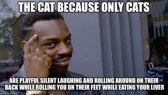 Roll Safe Think About It Meme | THE CAT BECAUSE ONLY CATS ARE PLAYFUL SILENT LAUGHING AND ROLLING AROUND ON THEIR BACK WHILE ROLLING YOU ON THEIR FEET WHILE EATING YOUR LIV | image tagged in memes,roll safe think about it | made w/ Imgflip meme maker