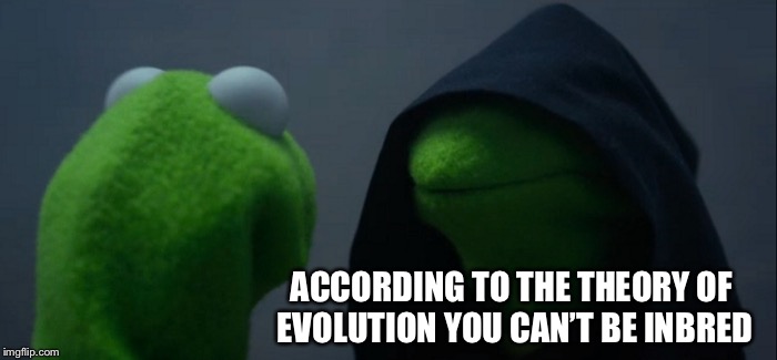 Evil Kermit Meme | ACCORDING TO THE THEORY OF EVOLUTION YOU CAN’T BE INBRED | image tagged in memes,evil kermit | made w/ Imgflip meme maker