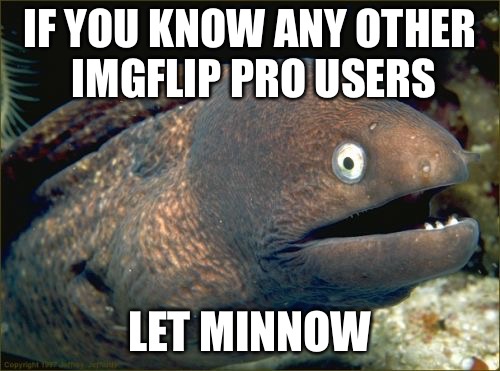 Bad Joke Eel Meme | IF YOU KNOW ANY OTHER IMGFLIP PRO USERS; LET MINNOW | image tagged in memes,bad joke eel,imgflip,imgflip pro | made w/ Imgflip meme maker
