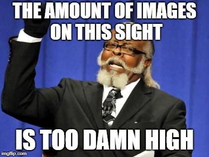 Too Damn High Meme | THE AMOUNT OF IMAGES ON THIS SIGHT; IS TOO DAMN HIGH | image tagged in memes,too damn high | made w/ Imgflip meme maker