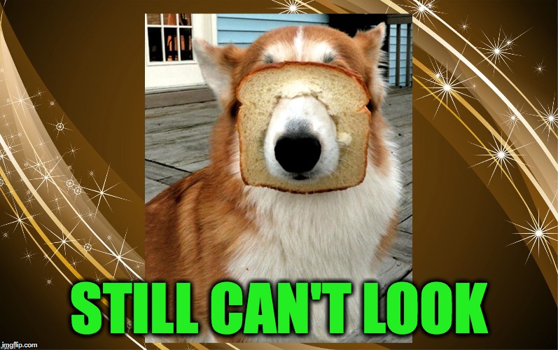 STILL CAN'T LOOK | made w/ Imgflip meme maker