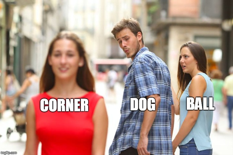 Distracted Boyfriend Meme | DOG BALL CORNER | image tagged in memes,distracted boyfriend | made w/ Imgflip meme maker