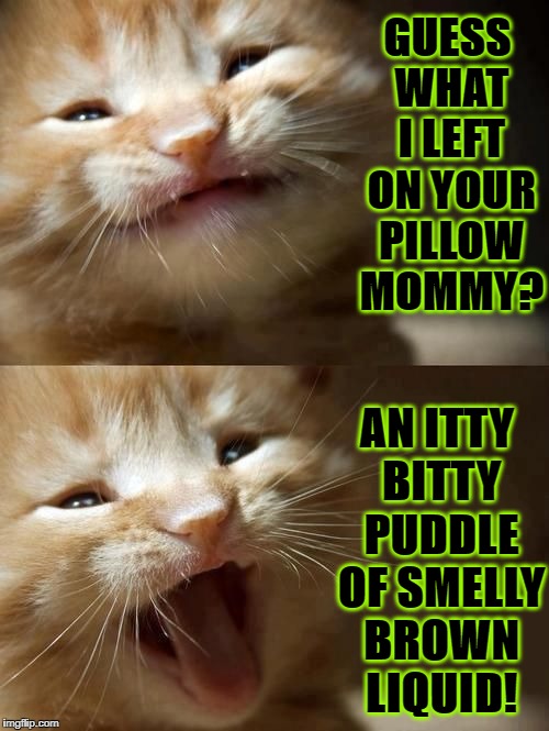 ADORABLE JERK | GUESS WHAT I LEFT ON YOUR PILLOW MOMMY? AN ITTY BITTY PUDDLE OF SMELLY BROWN LIQUID! | image tagged in adorable jerk | made w/ Imgflip meme maker