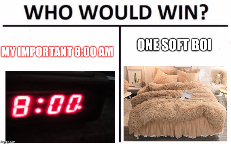 Who Would Win? Meme | ONE SOFT BOI; MY IMPORTANT 8:00 AM | image tagged in memes,who would win | made w/ Imgflip meme maker