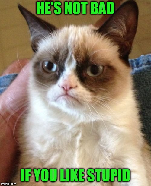 Grumpy Cat Meme | HE'S NOT BAD IF YOU LIKE STUPID | image tagged in memes,grumpy cat | made w/ Imgflip meme maker