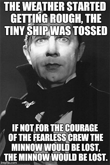 THE WEATHER STARTED GETTING ROUGH,
THE TINY SHIP WAS TOSSED IF NOT FOR THE COURAGE OF THE FEARLESS CREW
THE MINNOW WOULD BE LOST, THE MINNOW | made w/ Imgflip meme maker