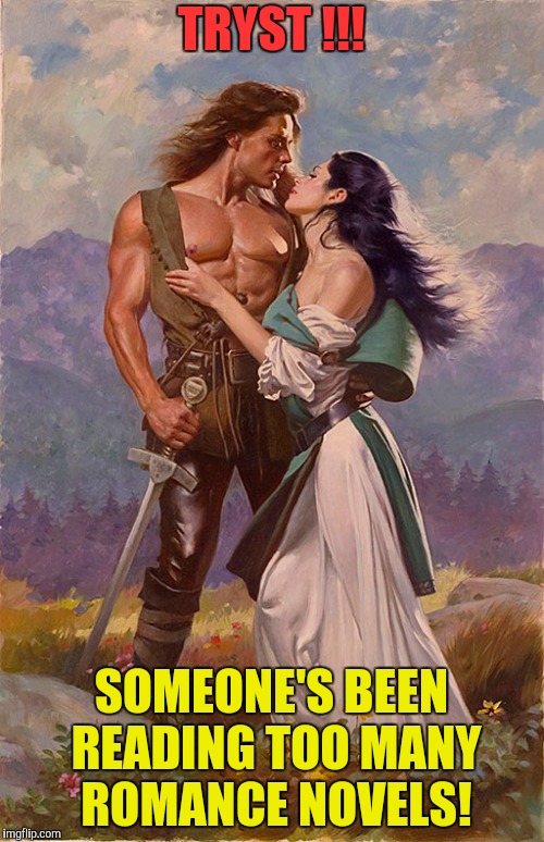 TRYST !!! SOMEONE'S BEEN READING TOO MANY ROMANCE NOVELS! | made w/ Imgflip meme maker