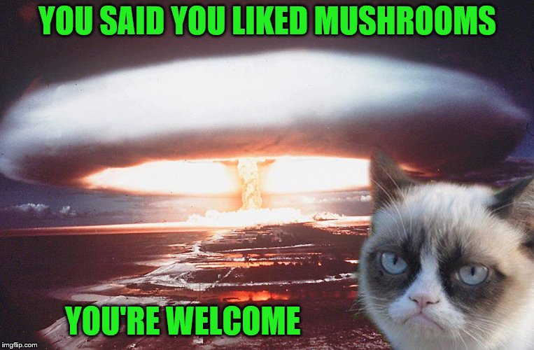 Cat Weekend, May 11-13, a Landon_the_memer, 1forpeace, & JBmemegeek event! |  YOU SAID YOU LIKED MUSHROOMS; YOU'RE WELCOME | image tagged in grumpy cat,memes,mushroom cloud,cat weekend,cats | made w/ Imgflip meme maker