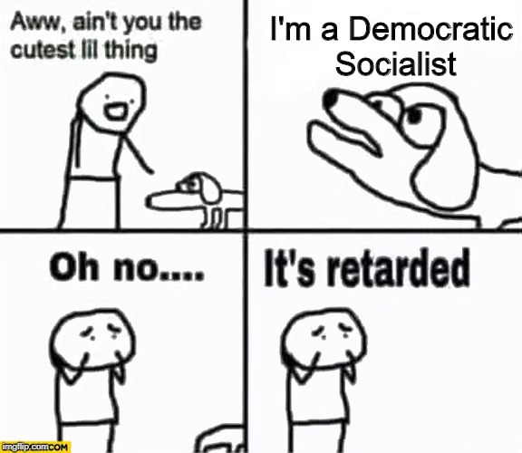 Oh no it's retarded! | I'm a Democratic Socialist | image tagged in oh no it's retarded | made w/ Imgflip meme maker