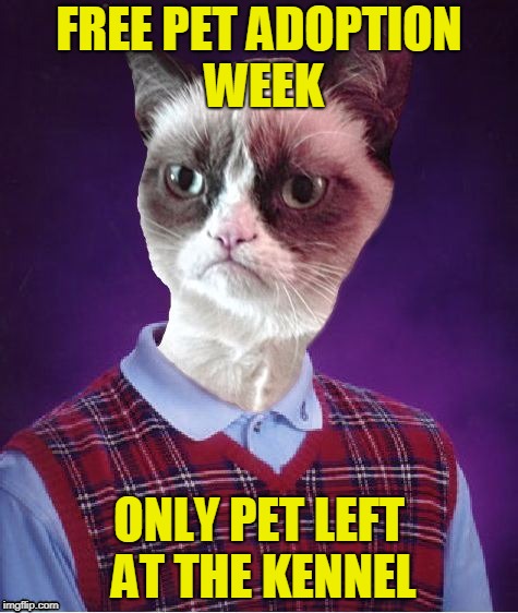 2-for-1 special - When Cat Weekend Meets Bad Luck Brian Week......    (A multiple imgflipper user event.) | FREE PET ADOPTION WEEK; ONLY PET LEFT AT THE KENNEL | image tagged in bad luck grumpy,meme,cat weekend,bad luck brian week | made w/ Imgflip meme maker