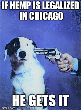 CPD threatens to kill their drug sniffing dogs | IF HEMP IS LEGALIZED IN CHICAGO; HE GETS IT | image tagged in dogs,war on drugs,guns,drug sniffing dogs | made w/ Imgflip meme maker