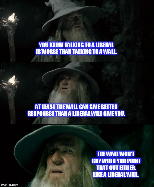 Confused Gandalf Meme | YOU KNOW TALKING TO A LIBERAL IS WORSE THAN TALKING TO A WALL. AT LEAST THE WALL CAN GIVE BETTER RESPONSES THAN A LIBERAL WILL GIVE YOU. THE WALL WON'T CRY WHEN YOU POINT THAT OUT EITHER. LIKE A LIBERAL WILL. | image tagged in memes,confused gandalf | made w/ Imgflip meme maker