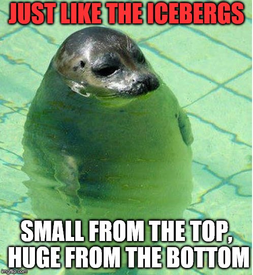 icebergs | JUST LIKE THE ICEBERGS; SMALL FROM THE TOP, HUGE FROM THE BOTTOM | image tagged in titanics sinking | made w/ Imgflip meme maker