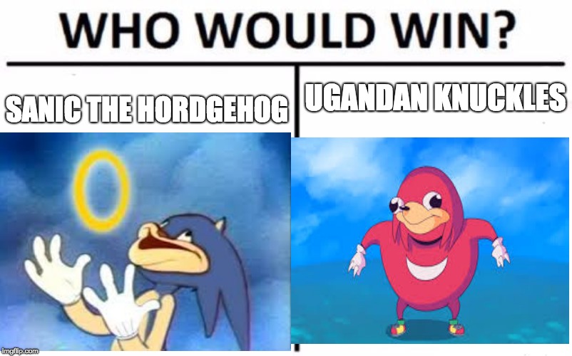 Knuckles vs Sonic, the retarded way | UGANDAN KNUCKLES; SANIC THE HORDGEHOG | image tagged in ugandan knuckles,sanic | made w/ Imgflip meme maker