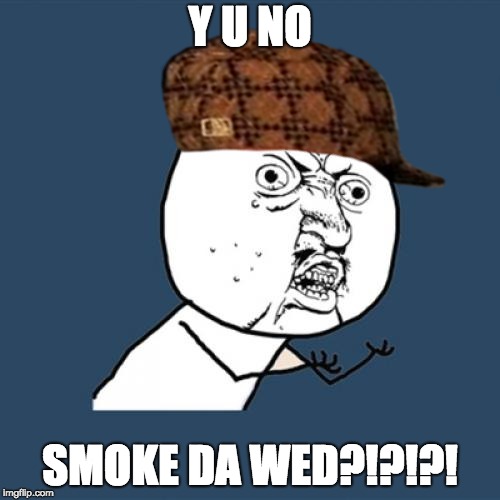 Memes of Y U No | Y U NO; SMOKE DA WED?!?!?! | image tagged in memes,y u no,scumbag,smoke weed everyday | made w/ Imgflip meme maker