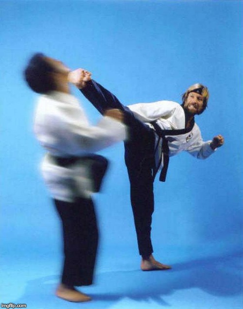 Roundhouse Kick Chuck Norris | image tagged in roundhouse kick chuck norris | made w/ Imgflip meme maker
