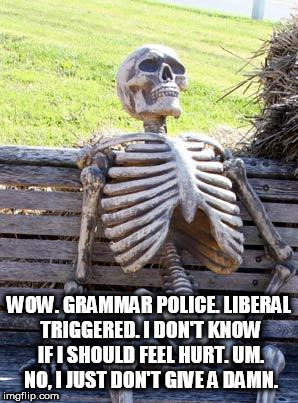 Waiting Skeleton Meme | WOW. GRAMMAR POLICE. LIBERAL TRIGGERED. I DON'T KNOW IF I SHOULD FEEL HURT. UM. NO, I JUST DON'T GIVE A DAMN. | image tagged in memes,waiting skeleton | made w/ Imgflip meme maker