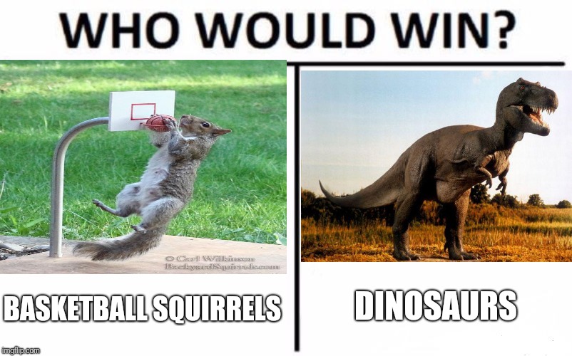 DINOSAURS; BASKETBALL SQUIRRELS | image tagged in who would win,challenge | made w/ Imgflip meme maker