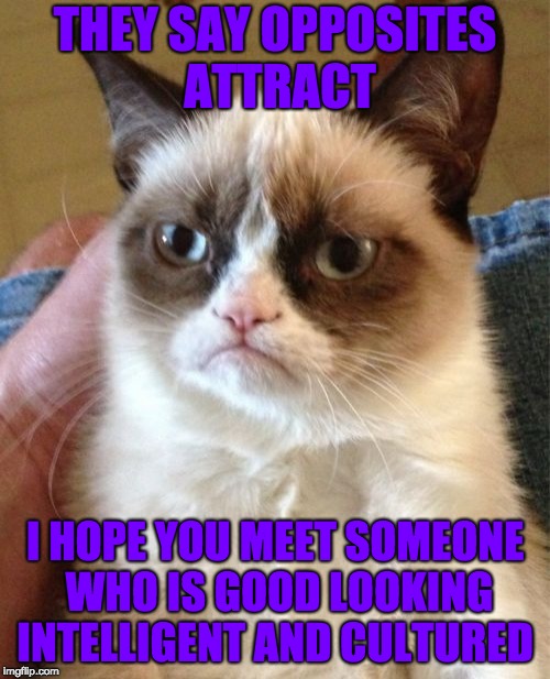 Grumpy Cat | THEY SAY OPPOSITES ATTRACT; I HOPE YOU MEET SOMEONE WHO IS GOOD LOOKING INTELLIGENT AND CULTURED | image tagged in memes,grumpy cat | made w/ Imgflip meme maker