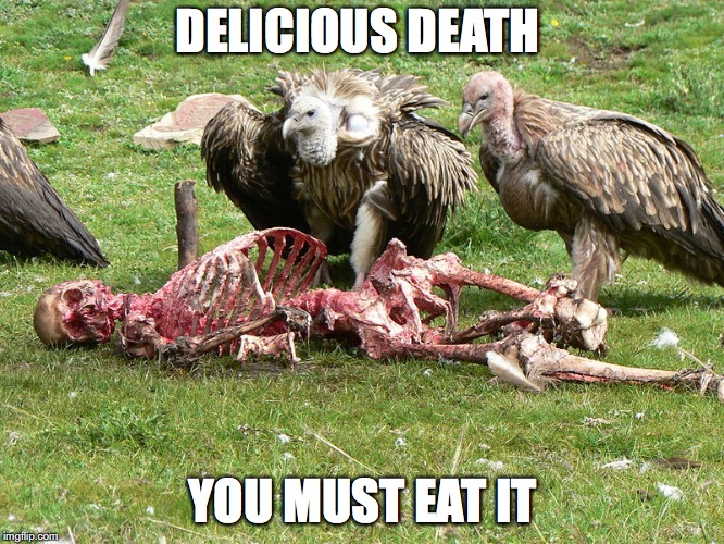 Vultures | DELICIOUS DEATH; YOU MUST EAT IT | image tagged in vulture,memes,death,corpse | made w/ Imgflip meme maker