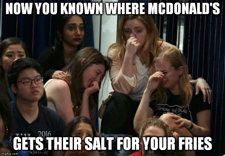 Liberal Tears | NOW YOU KNOWN WHERE MCDONALD'S; GETS THEIR SALT FOR YOUR FRIES | image tagged in liberal tears | made w/ Imgflip meme maker