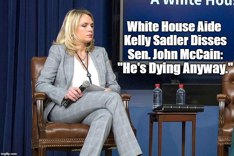 White House Aide Kelly Sadler Disses Sen. John McCain: "He's Dying Anyway." | made w/ Imgflip meme maker