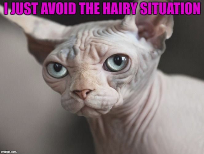 hairless | I JUST AVOID THE HAIRY SITUATION | image tagged in hairless | made w/ Imgflip meme maker