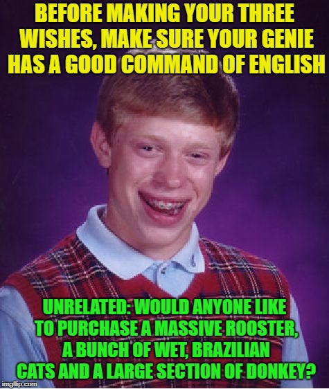 Bad Luck Brian Meme | BEFORE MAKING YOUR THREE WISHES, MAKE SURE YOUR GENIE HAS A GOOD COMMAND OF ENGLISH UNRELATED: WOULD ANYONE LIKE TO PURCHASE A MASSIVE ROOST | image tagged in memes,bad luck brian | made w/ Imgflip meme maker