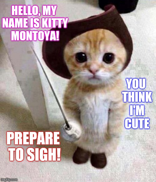 It's Cat Weekend! Submit your cat memes and tag them "cat weekend" May 11-13, a Landon_the_memer, 1forpeace, & JBmemegeek event! | HELLO, MY NAME IS KITTY MONTOYA! YOU THINK I'M CUTE; PREPARE TO SIGH! | image tagged in jbmemegeek,landon_the_memer,1forpeace,cat weekend,cats,inigo montoya | made w/ Imgflip meme maker