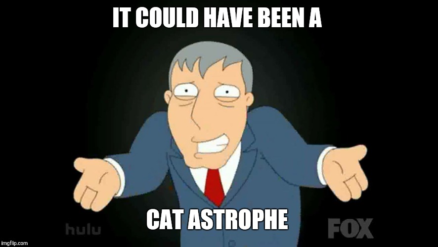 IT COULD HAVE BEEN A CAT ASTROPHE | made w/ Imgflip meme maker