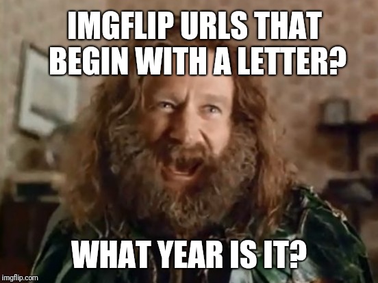 IMGFLIP URLS THAT BEGIN WITH A LETTER? WHAT YEAR IS IT? | made w/ Imgflip meme maker