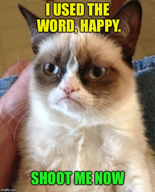 Grumpy Cat Meme | I USED THE WORD, HAPPY. SHOOT ME NOW | image tagged in memes,grumpy cat | made w/ Imgflip meme maker
