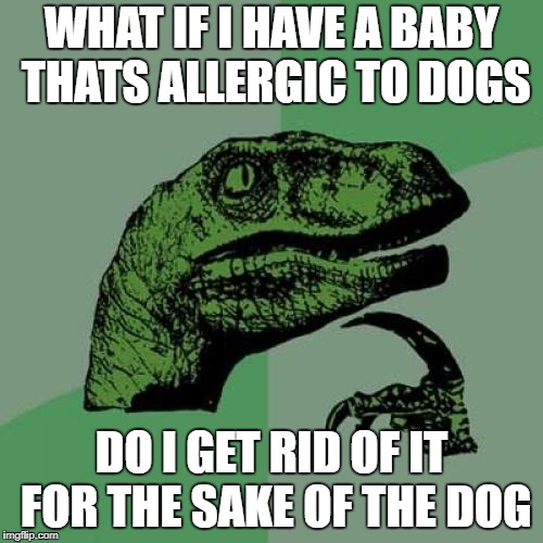 Chose the Dog | WHAT IF I HAVE A BABY THATS ALLERGIC TO DOGS; DO I GET RID OF IT FOR THE SAKE OF THE DOG | image tagged in memes,philosoraptor | made w/ Imgflip meme maker