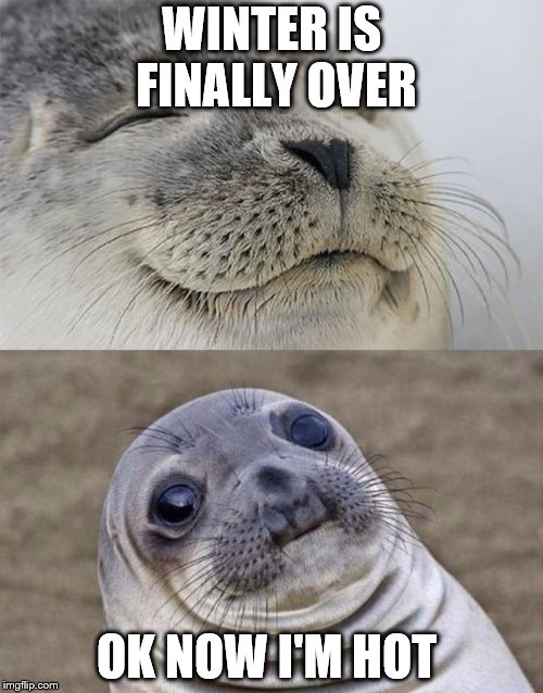 Short Satisfaction VS Truth | WINTER IS FINALLY OVER; OK NOW I'M HOT | image tagged in memes,short satisfaction vs truth | made w/ Imgflip meme maker