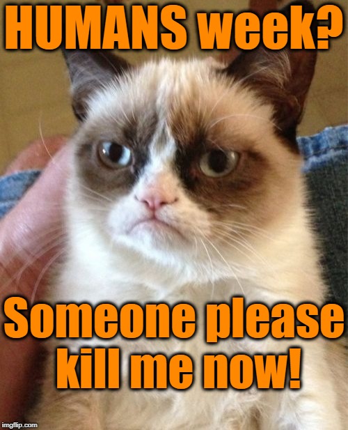 Grumpy Cat Meme | HUMANS week? Someone please kill me now! | image tagged in memes,grumpy cat | made w/ Imgflip meme maker