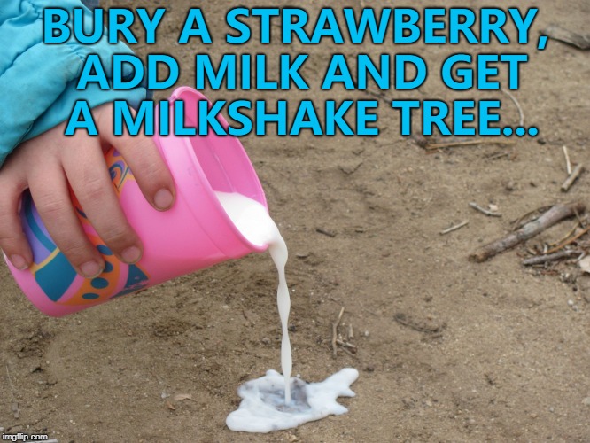 Also works with chocolate, bananas etc... :) |  BURY A STRAWBERRY, ADD MILK AND GET A MILKSHAKE TREE... | image tagged in pour milk,memes,milkshakes,food,gardening | made w/ Imgflip meme maker